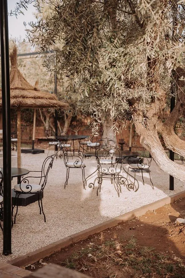 Villa Singuliere By Louhou Collection Marrakesh Morocco
